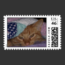 Come Snuggle Stamp