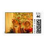Come To Dine With Us! Postage