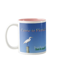 Come to Florida! mugs