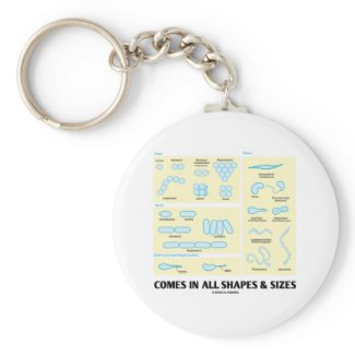 Comes In All Shapes & Sizes (Bacterial Morphology) Key Chain