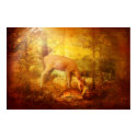 Comfort My People posters