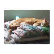 Comfort postcards