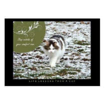 Comfort Zone Life Lessons from a Cat ACEO Art Card Business Card Template