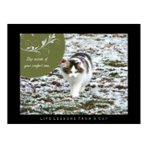 Comfort Zone Life Lessons from a Cat Art Print