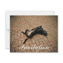 Comfortable black dog invitations by fotoplus Comfortable black dog invitations