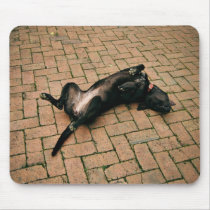 Comfortable black dog mousepads