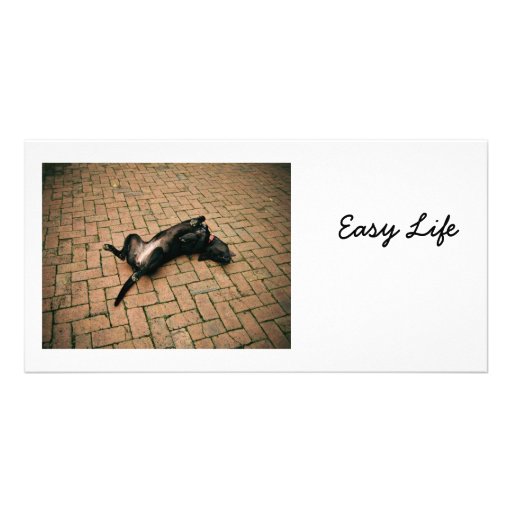 Comfortable black dog personalized photo card