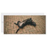 Comfortable black dog customized rack card