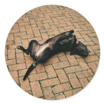 Comfortable black dog stickers