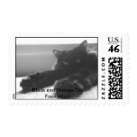 Comfortable Postage Stamps