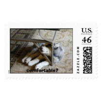 comfortable? postage