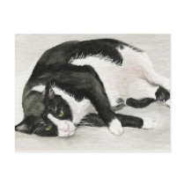 "Comfortable Tuxedo Cat" Art Postcards