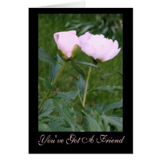 Comforting Peonies "You've Got A Friend" Card