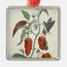 Comfrey, from 'A Curious Herbal', 1782 (colour eng Christmas Tree Ornaments