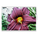 Comic Tigerlilly cards