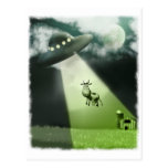 Comical UFO Cow Abduction Postcard