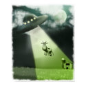 Comical UFO Cow Abduction Poster posters