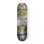 comiendo, branch, watching you, arch, leaning, ... skate decks