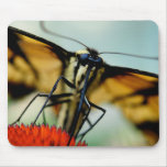 Comin' Straight On For You Mousepad