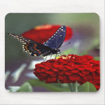 Coming Back To Me Mousepad