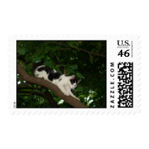 COMING DOWN postage