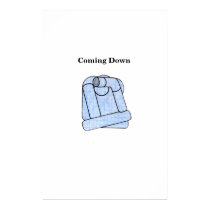 Coming Down posters