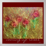 coming up roses poster