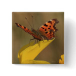 Comma Butterfly and Daffodil buttons