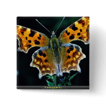 Comma butterfly pins