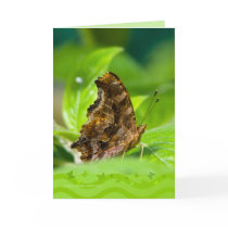 Comma Butterfly Greeting Cards