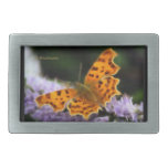 Comma Butterfly  (Polygonia c-album) belt buckles