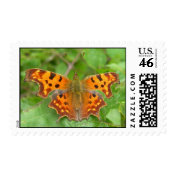 Comma Butterfly Postage