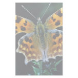 Comma butterfly custom stationery
