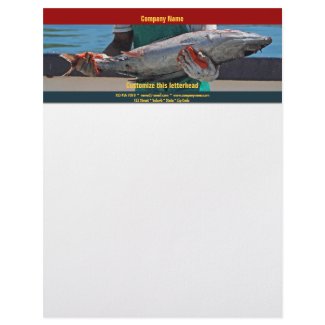 Commercial fishing harbour tuna CUSTOMIZE letterhead