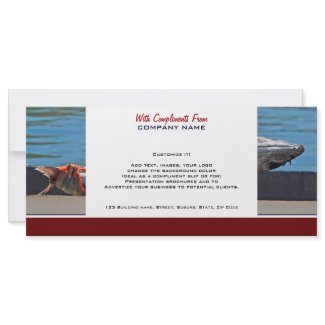 Commercial fishing harbour tuna CUSTOMIZE rackcard