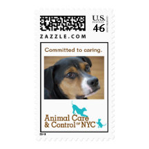 Committed to Caring Stamp