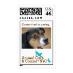 Committed to Caring Stamp