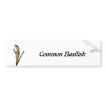 Common Basilisk Bumper Sticker