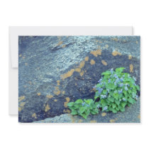 Common blue violets, Quebec, Canada. flower Personalized Invitations