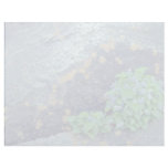 Common blue violets, Quebec, Canada. flower Custom Letterhead