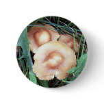 Common Bonnet Mushroom Button