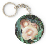 Common Bonnet Mushroom Key Chain