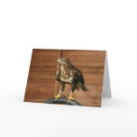 Common Buzzard Bird of Prey cards