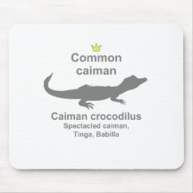 Common caiman g5 mouse pad