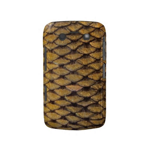 Common Carp - Blackberry Bold Blackberry Bold Covers