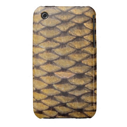 Common Carp - iPhone3G & iPod Touch iPhone 3 Cases