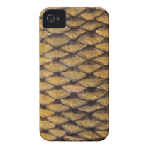 Common Carp - iPhone4 Case casemate cases