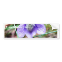 Common Dog Violet bumper stickers