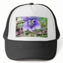 Common Dog Violet hats by lifesphere Common Dog Violet hats