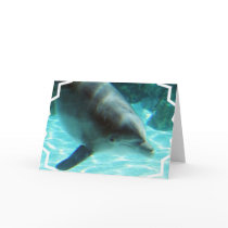 Common Dolphin Greeting Card